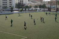 campo-associado