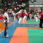 taekwondo