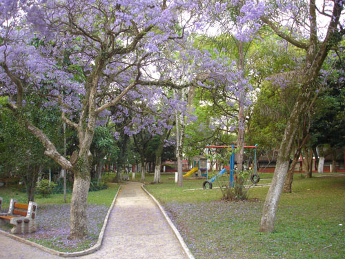 Clube promove aulas de Lian Gong