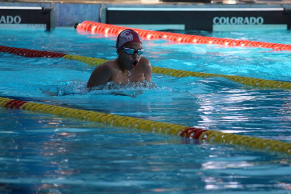 Paulista Petiz 2013