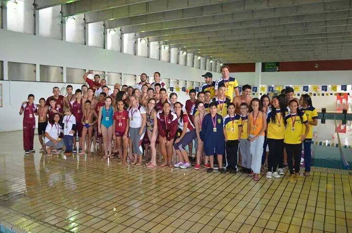 Festival de Natação