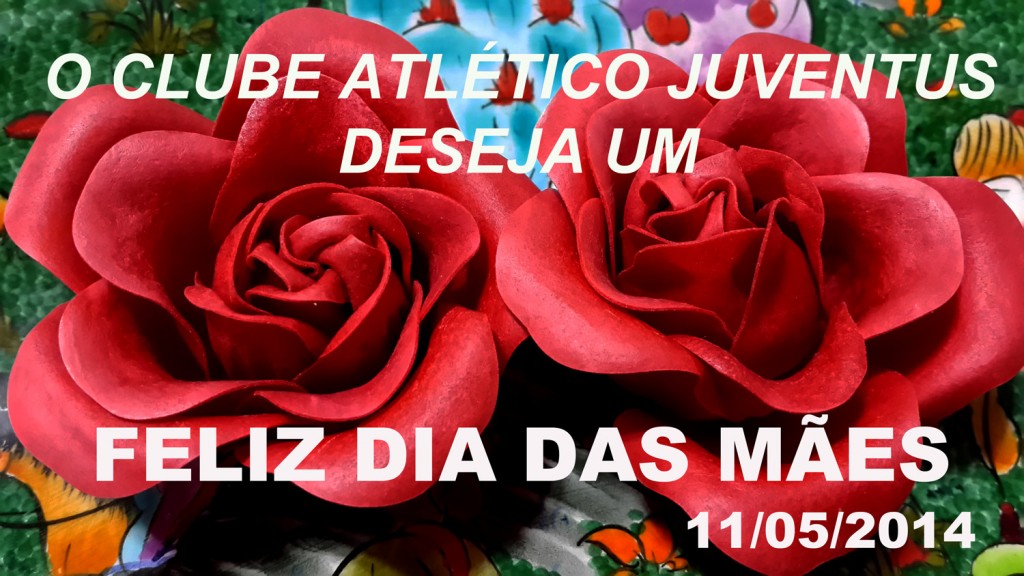 Feliz Dia das Mães