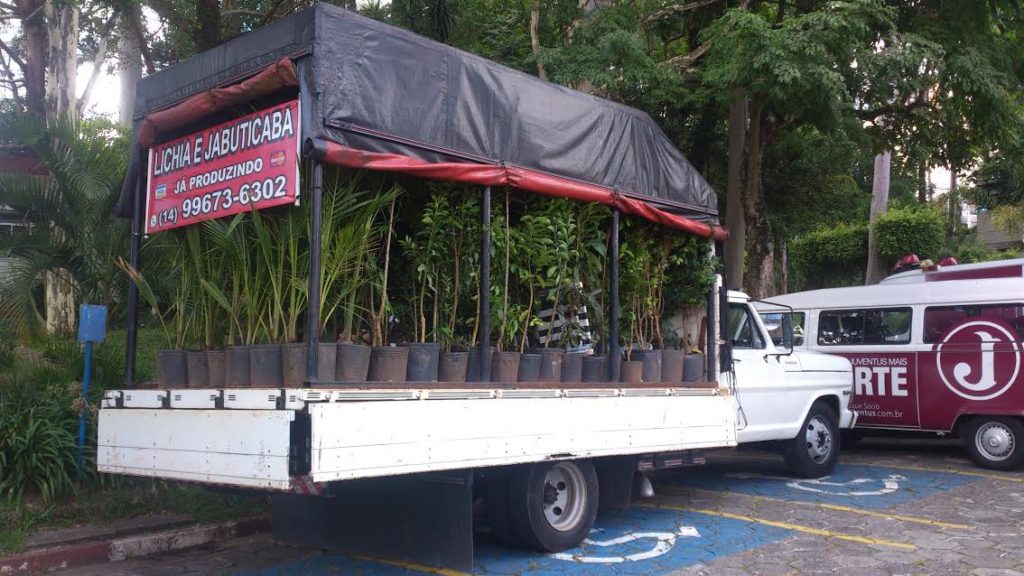 Conselheiro juventino doa mudas de árvores frutíferas para o Clube