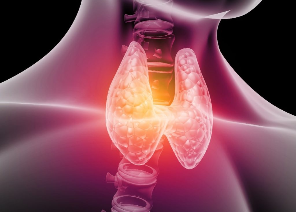 Hipotireoidismo: endocrinologista do São Cristóvão Saúde esclarece dúvidas sobre a doença