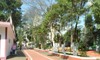 thumb_360cajuv015