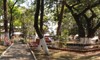 thumb_360cajuv017
