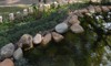 thumb_360cajuv019