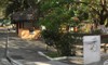 thumb_360cajuv020
