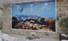 thumb_360cajuv038