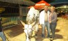 junina10-002