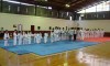 dsc00295