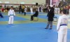 festival-88-anos-21042012-182