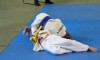 festival-88-anos-21042012-210