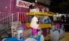 ric_4339