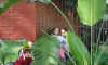 dsc05035