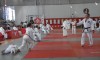 torneio6