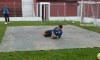 profissional-210612-067