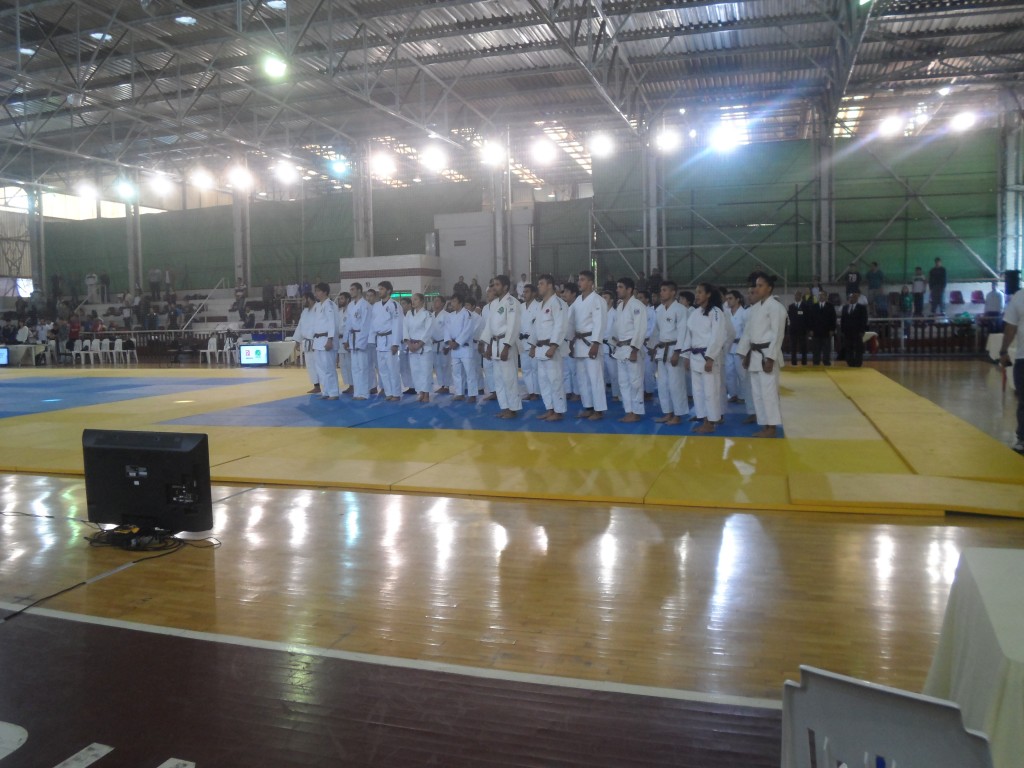 SAM_3254