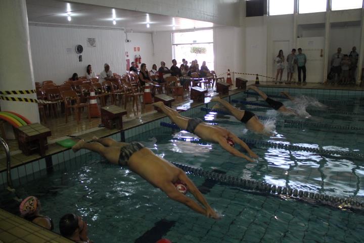 Paulistinha de natação (3)
