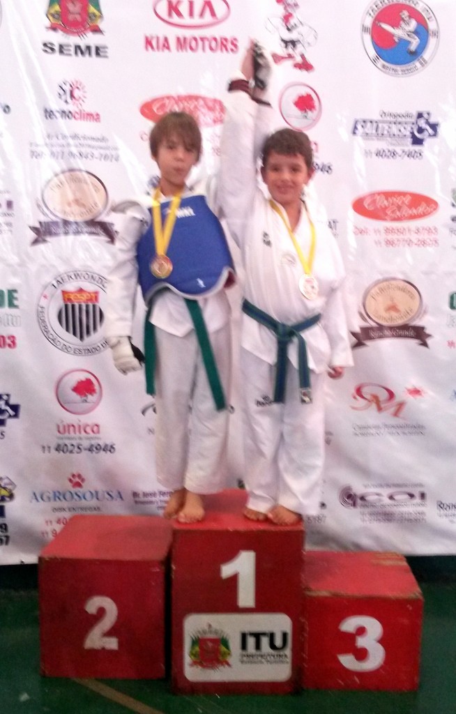 Taekwondo (2)