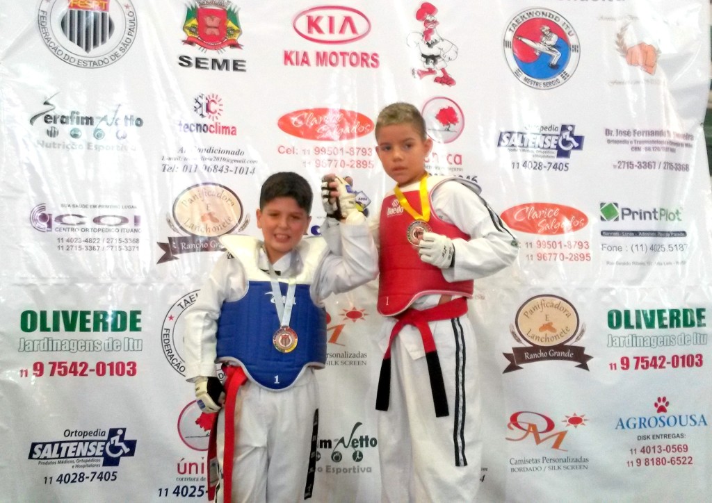 Taekwondo (4)