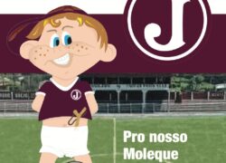 Visão de Futuro: SAF- Para o Moleque Travesso crescer Forte